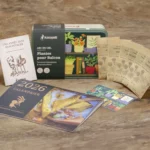 Pack de graines à semer pour le balcon - Plantes potagères et florales – Image 2